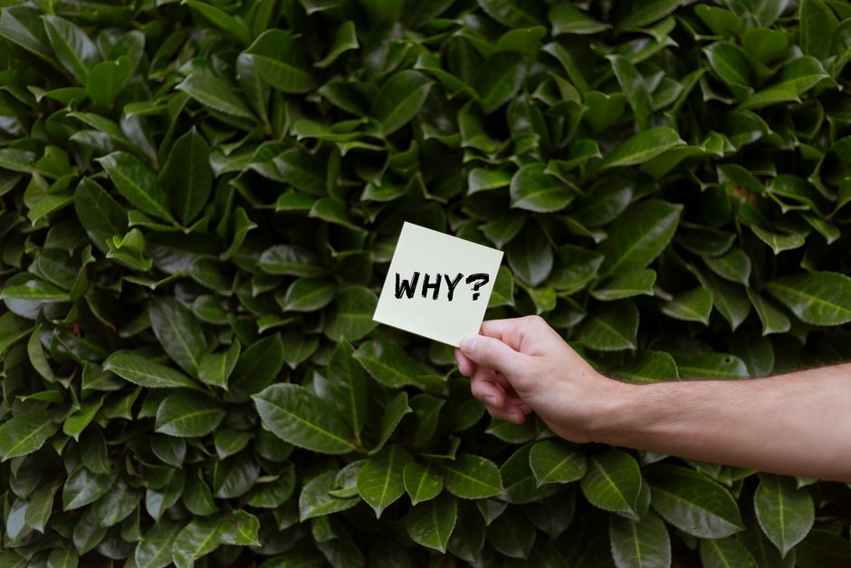 Why Does My Printer Say Offline? Step-by-Step Fixes for Inkjet and Laser Printers